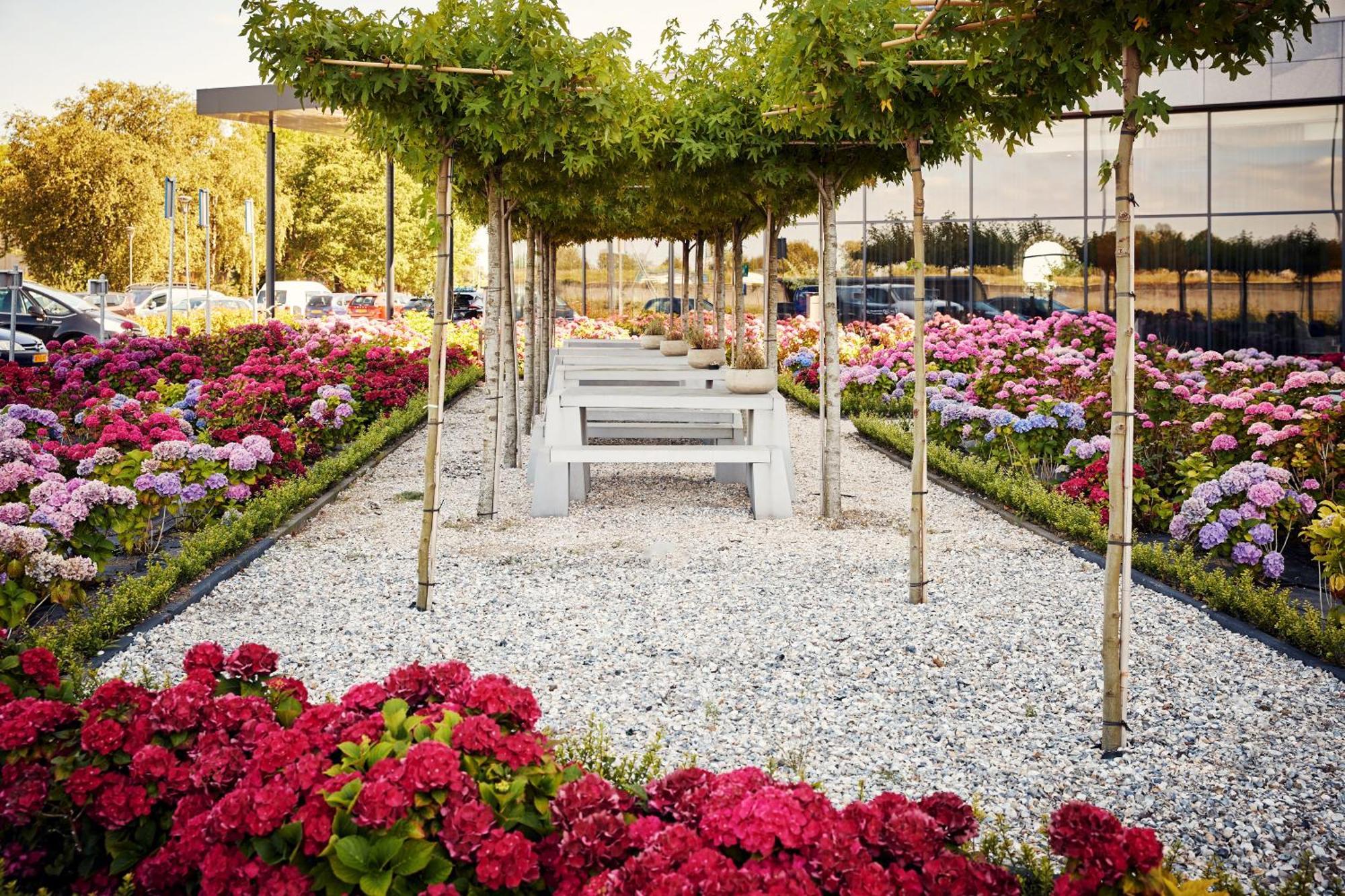 Van Der Valk Hotel Tiel Dış mekan fotoğraf